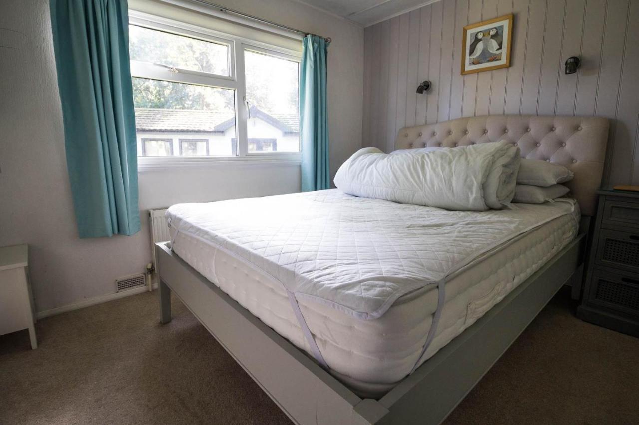 Campsite Pet Friendly, Luxury With Decking In Suffolk Near The Ref 32108a